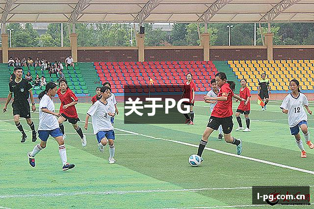 关于PG